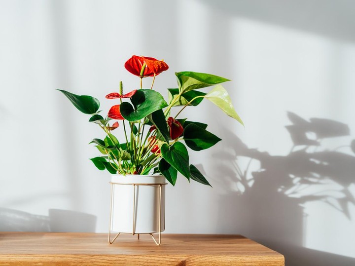 Peran Detail Kecil dalam Menciptakan Hari yang Lebih Rapi